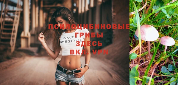 марки lsd Абаза